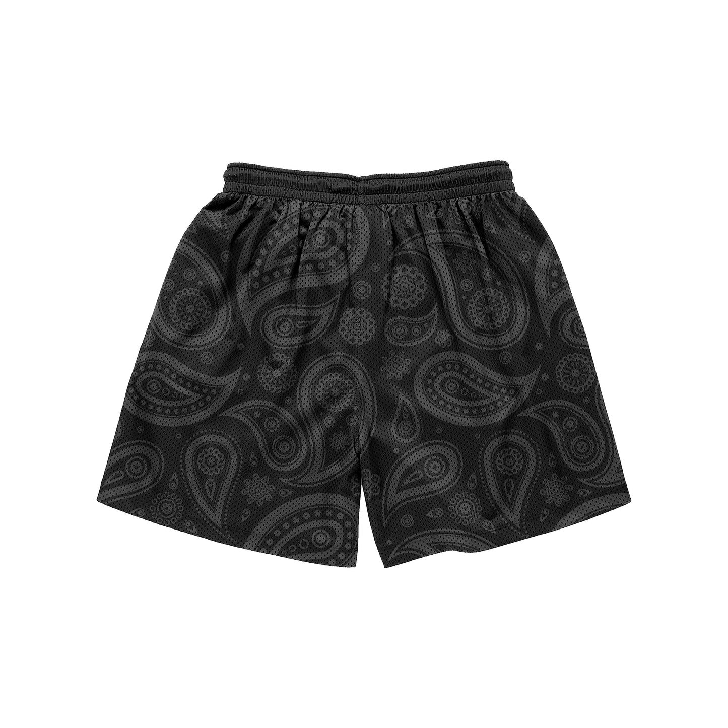 Paisley Mesh Shorts